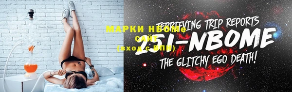 индика Зеленодольск