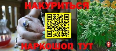 трава Сланцы