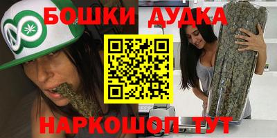 трава Сланцы