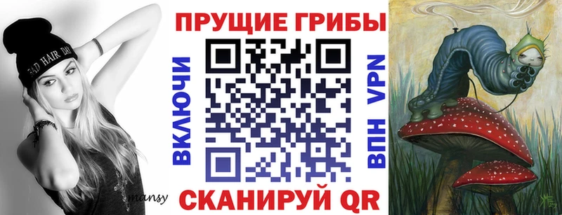 Галлюциногенные грибы Psilocybine cubensis Карасук