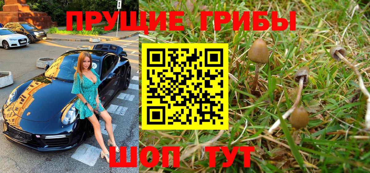 Галлюциногенные грибы Magic Shrooms  Вход с VPN  цены наркотик  Галлюциногенные грибы прущие грибы  Карасук 